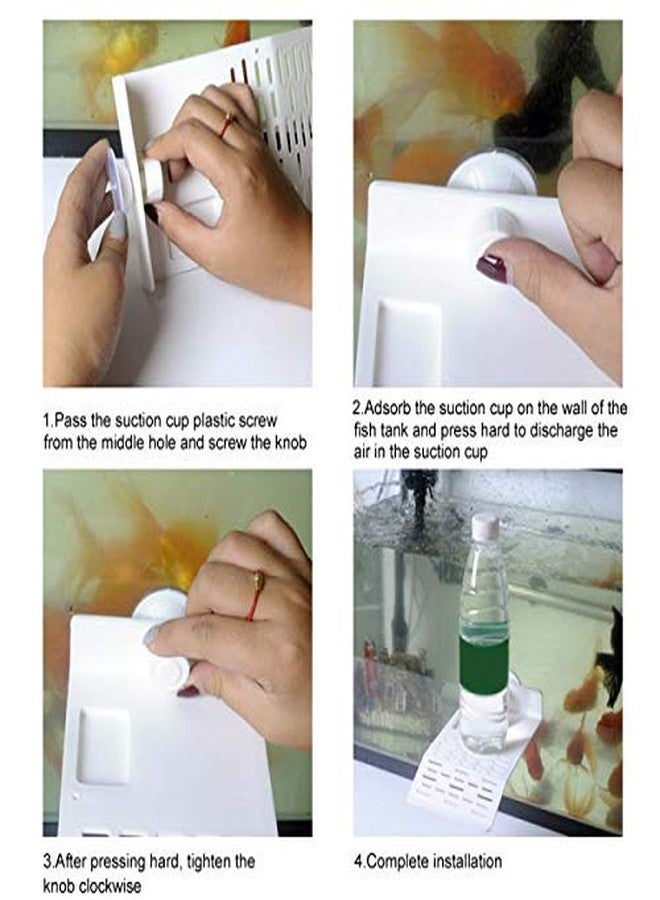 ويستيرن إرا منصة تشمس من العصر الغربي مع وعاء طعام وكأس شفط للسلاحف/الزواحف/أحواض السمك/البرمائيات الصغيرة (حجم كبير) - Image 4